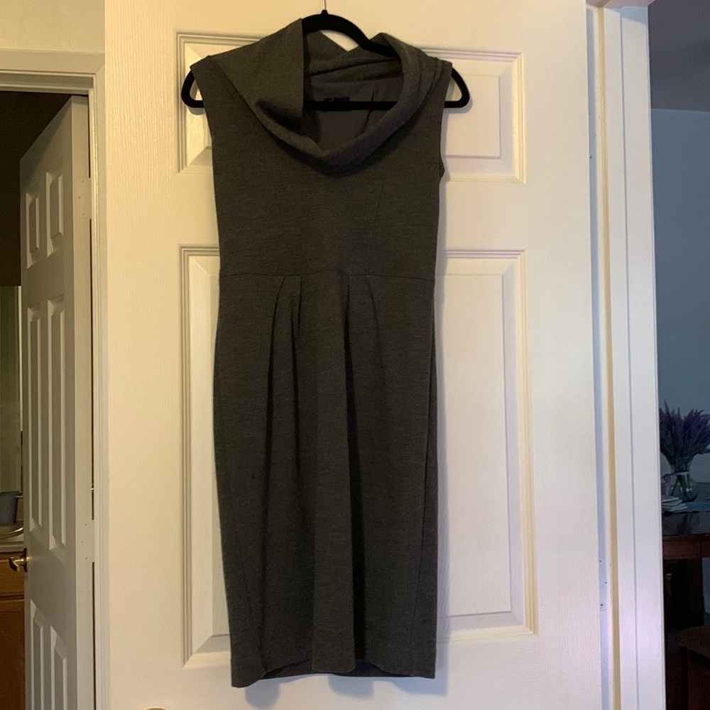 Ann Taylor Winter Dress